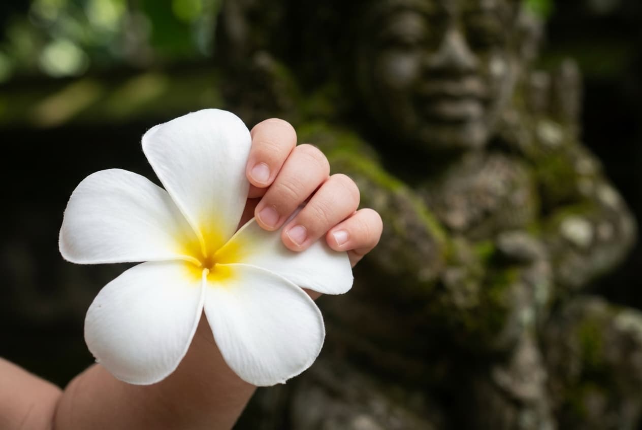 Gros plan d'une main de bébé et d'une fleur de frangipanier, symbole de Bali.